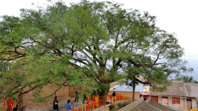 雷山堡2.jpg 雷山堡2.jpg