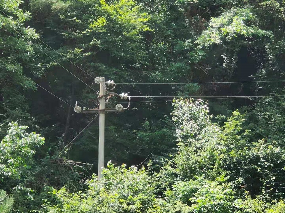 微信图片_20210723152144.jpg 微信图片_20210723152144.jpg