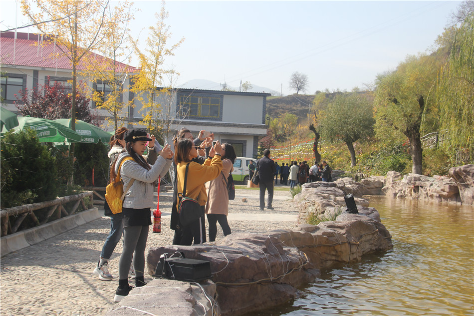 1540781830120734.jpg IMG_0446.jpg