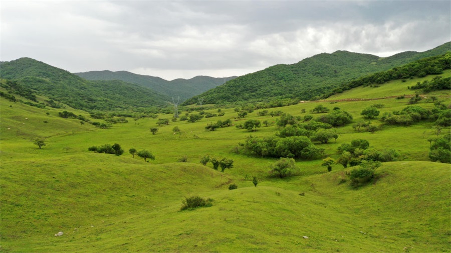 关山草原2.jpg 关山草原2.jpg