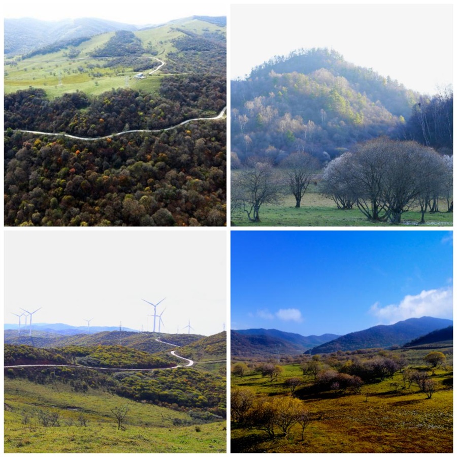 秦家源景区.jpg 秦家源景区.jpg