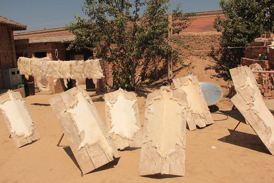 1513826431103276.jpg 6.jpg.JPG