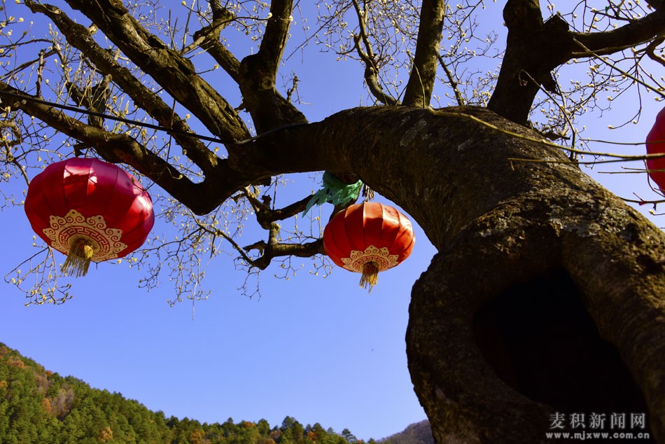 1510675853131431.jpg 7.jpg