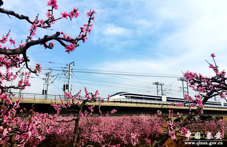 1505878590696641.jpg 7.jpg