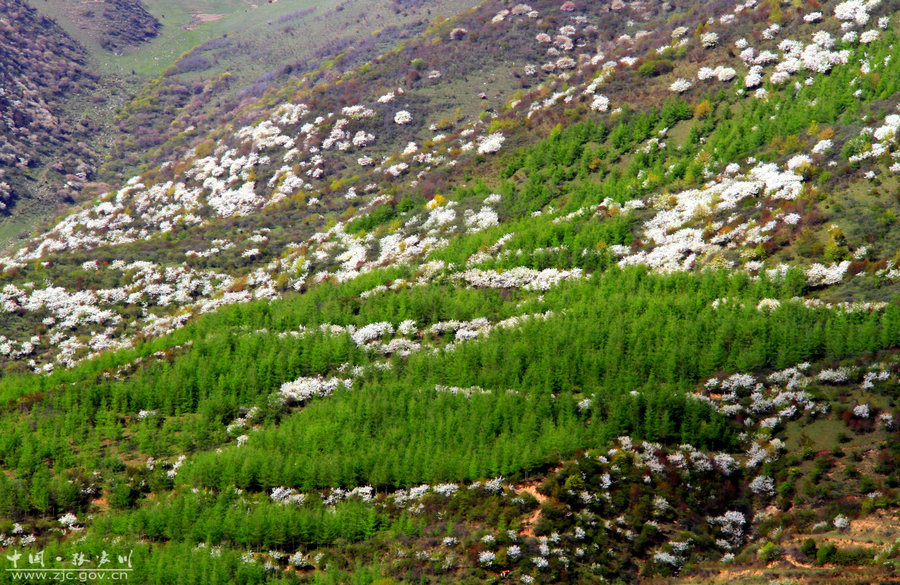 1557110390537380.jpg 1.jpg