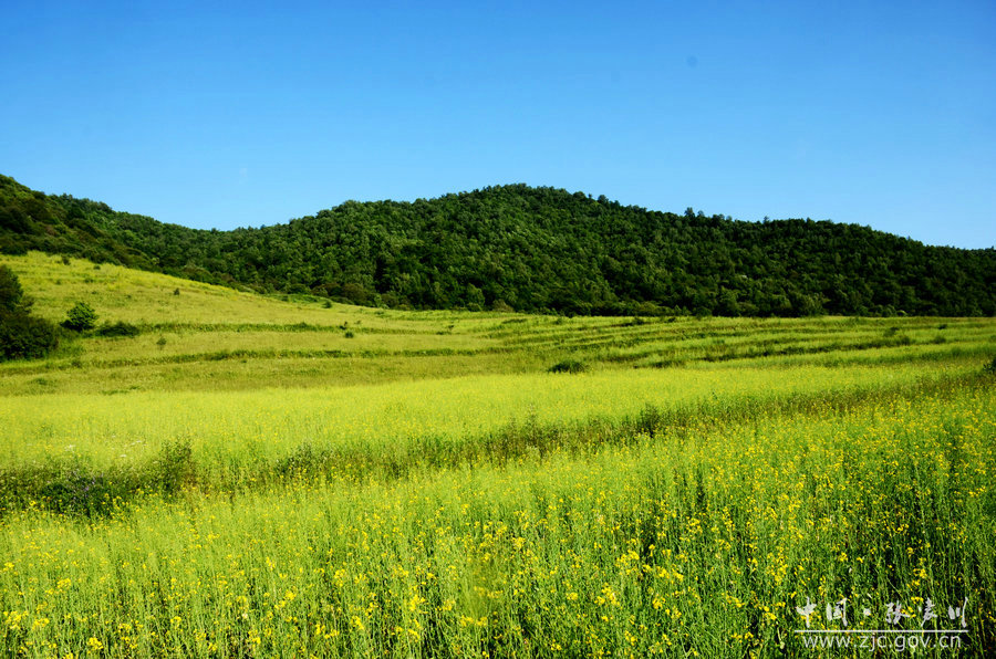 1557110415192265.jpg 3.jpg