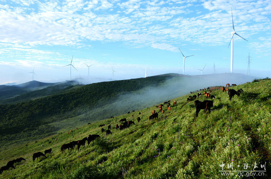 1557110401115144.jpg 2.jpg