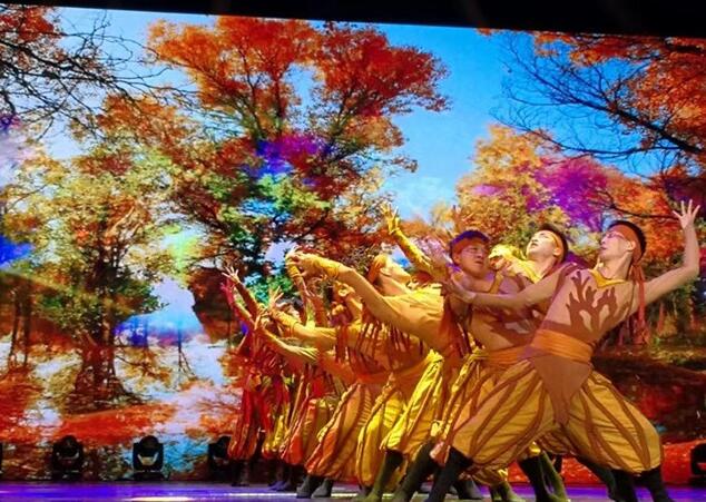 1546480133716780.jpg 5.jpg