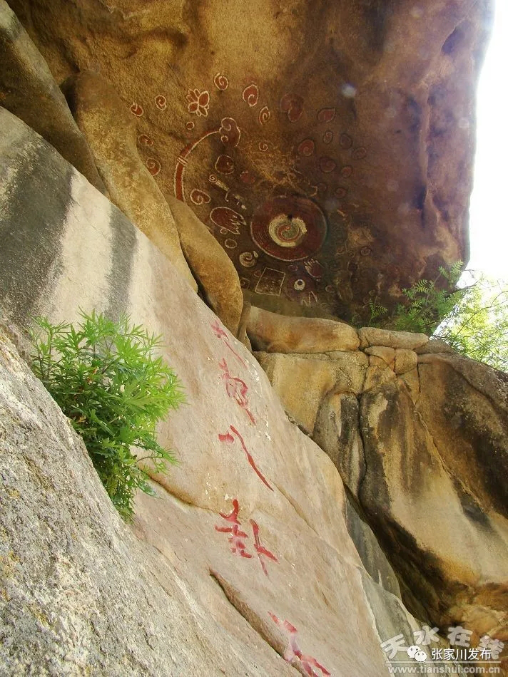 1513305916106331.png 图片1.png