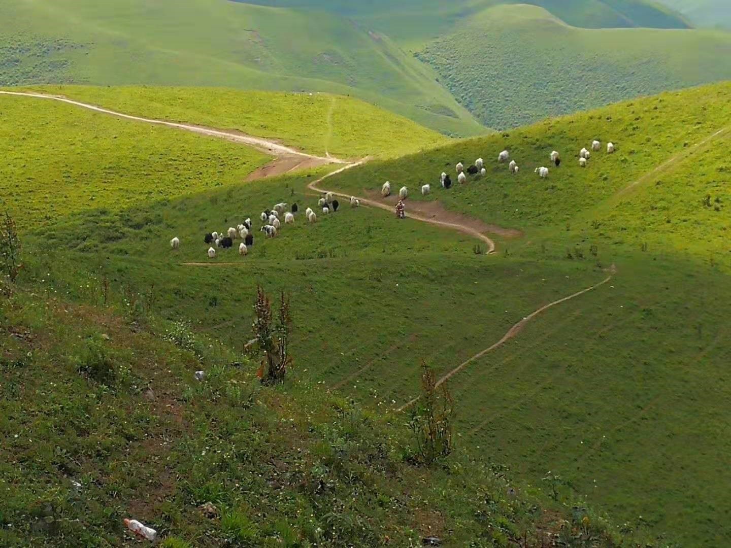 1563156087335217.jpg 4.jpg