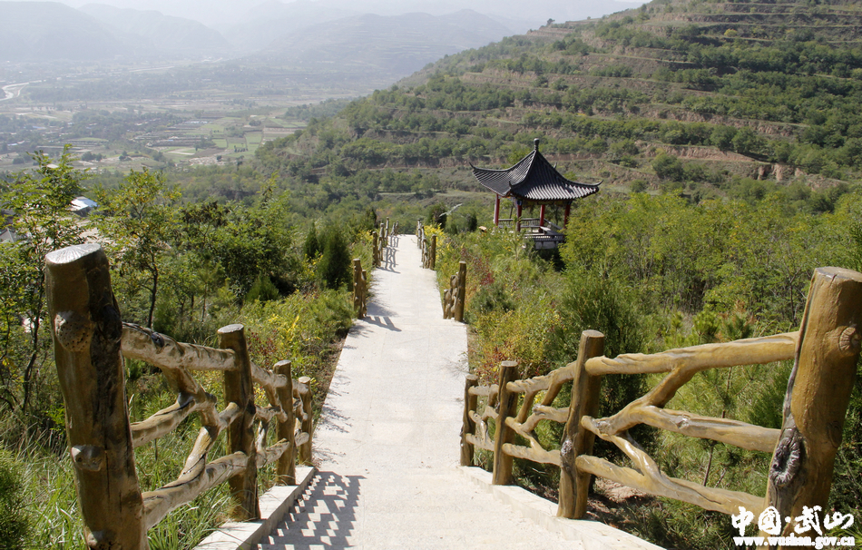 1515400710444819.jpg 9.jpg