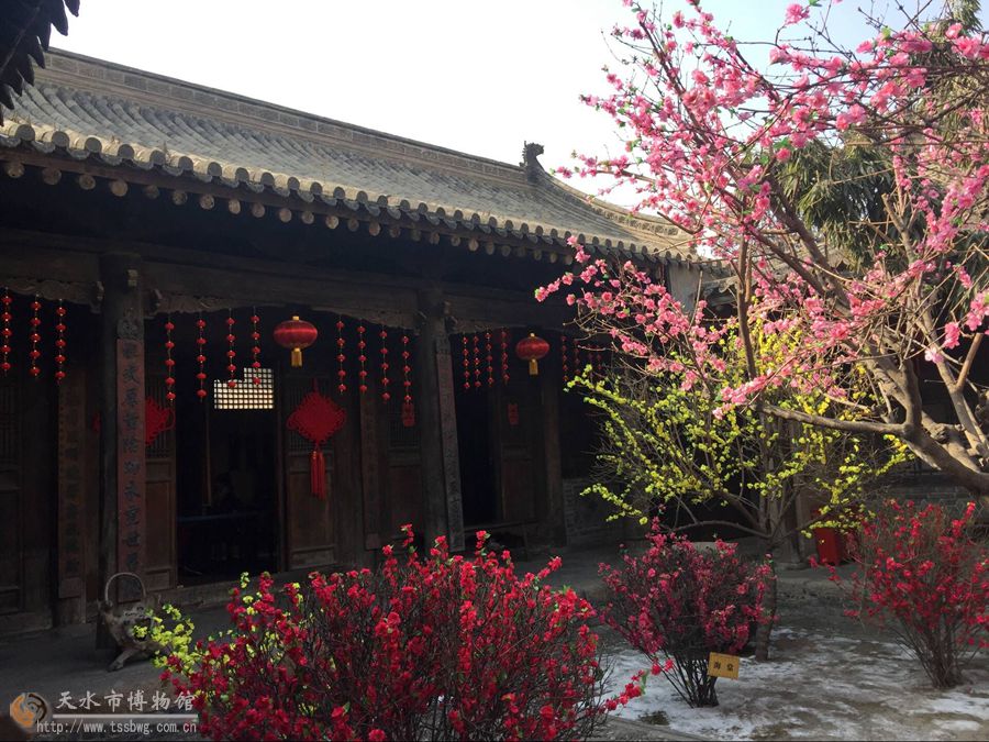 1517900552139018.jpg 5.jpg