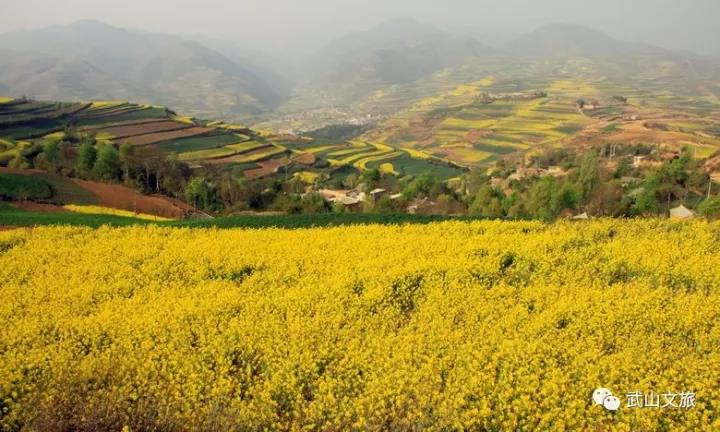 1512541223837742.jpg 6.jpg