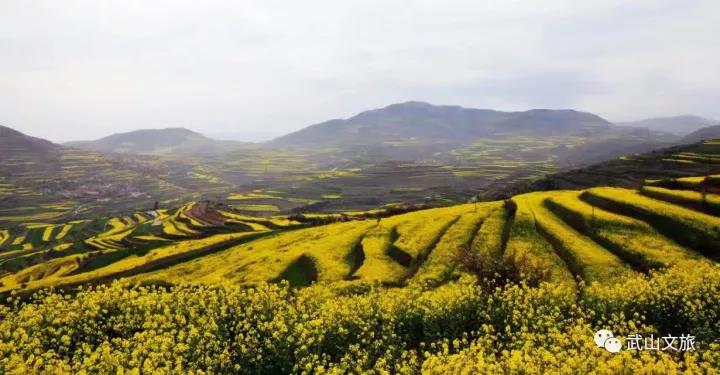 1512541252107635.jpg 9.jpg