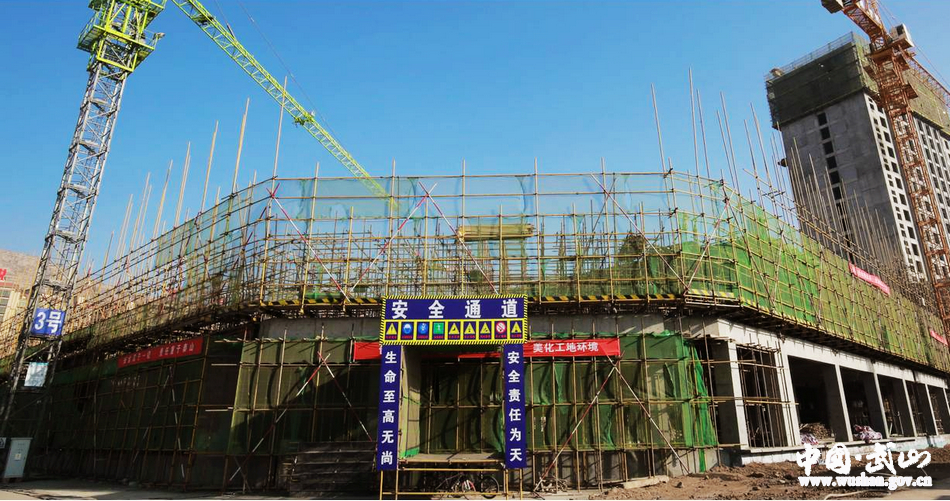 1515399440137008.jpg 4.jpg