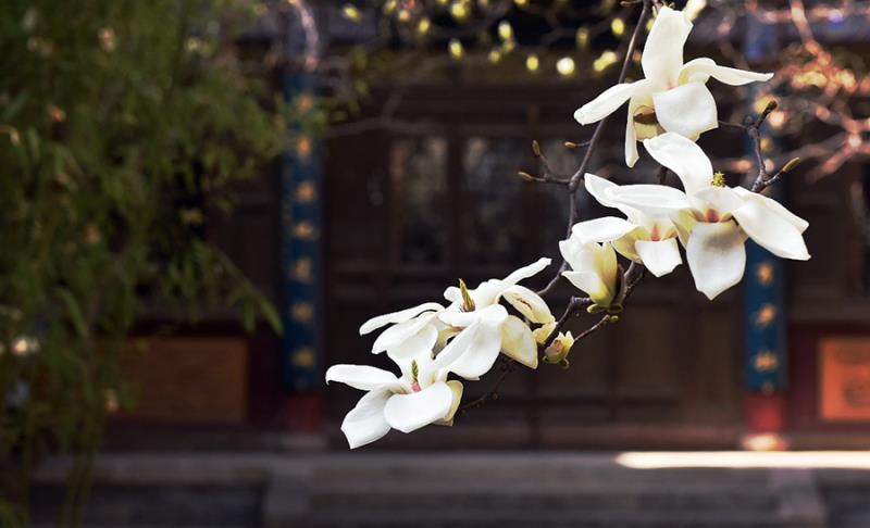 1584952524478943.jpg 图片2.jpg