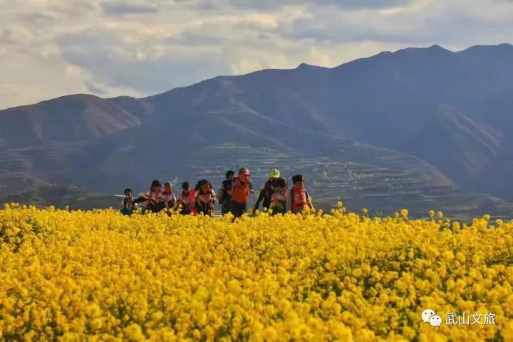 1512541289281298.jpg 11.jpg