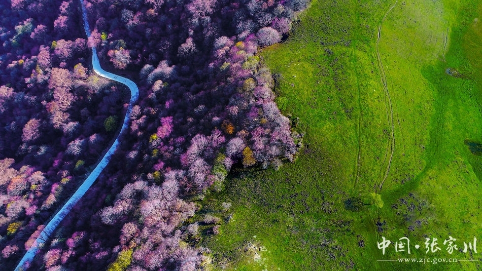 1560907600127176.jpg IMG6c626d8d5ad450382607695.jpg