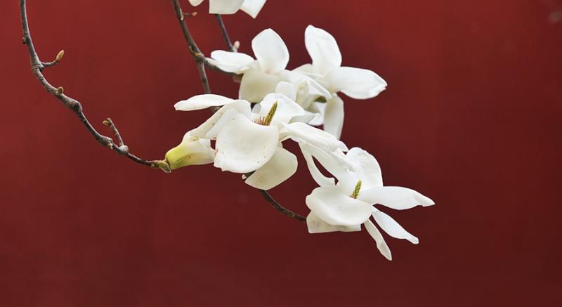 1584952452632997.jpg 图片3.jpg