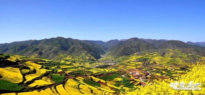 1512541231972604.jpg 7.jpg