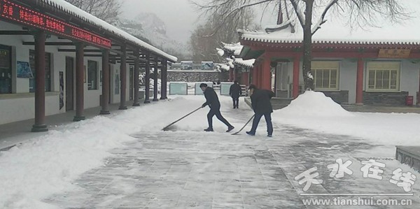 1515657531103052.jpg 1.jpg