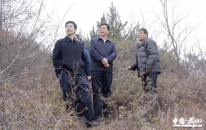 1512541155101464.jpg 2.jpg