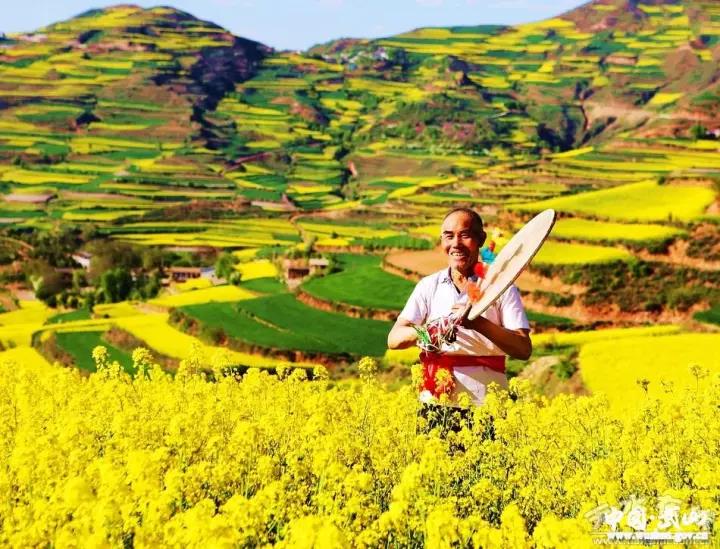 1512541213111138.jpg 5.jpg