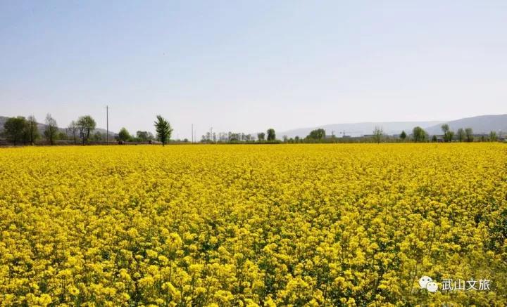 1512541243125089.jpg 8.jpg