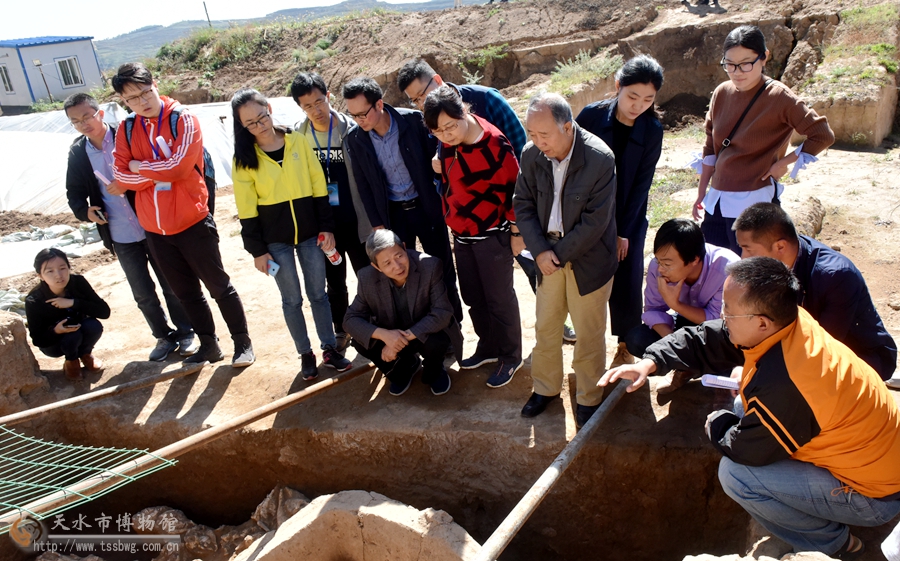 1506760115123329.jpg 7.jpg