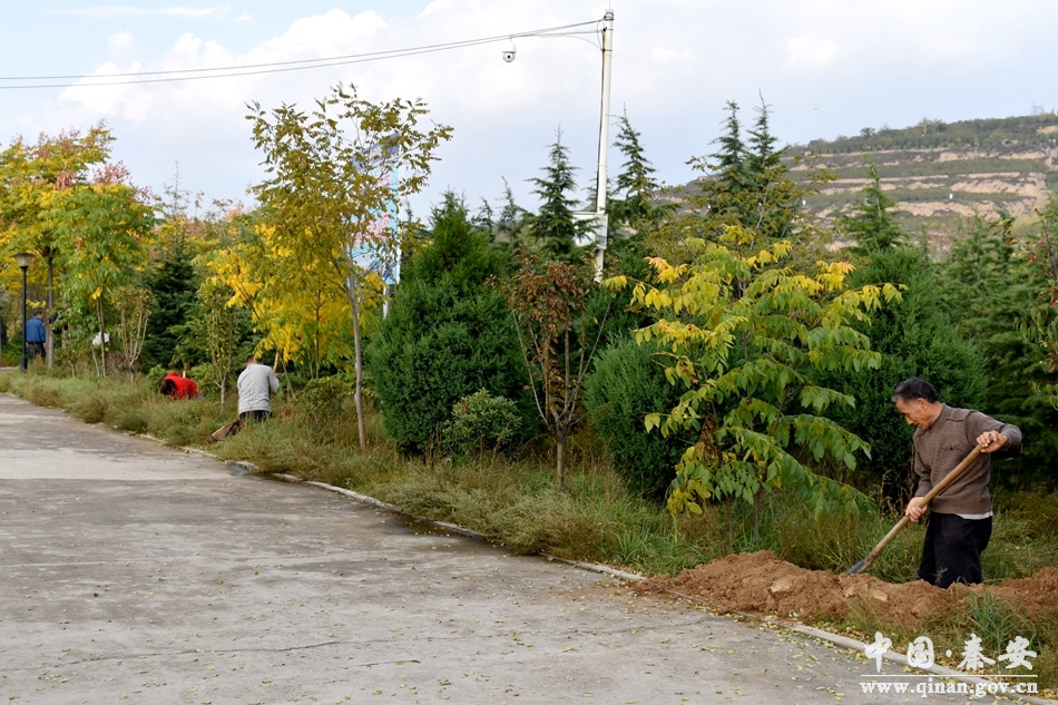 1513914161115135.jpg 1.jpg