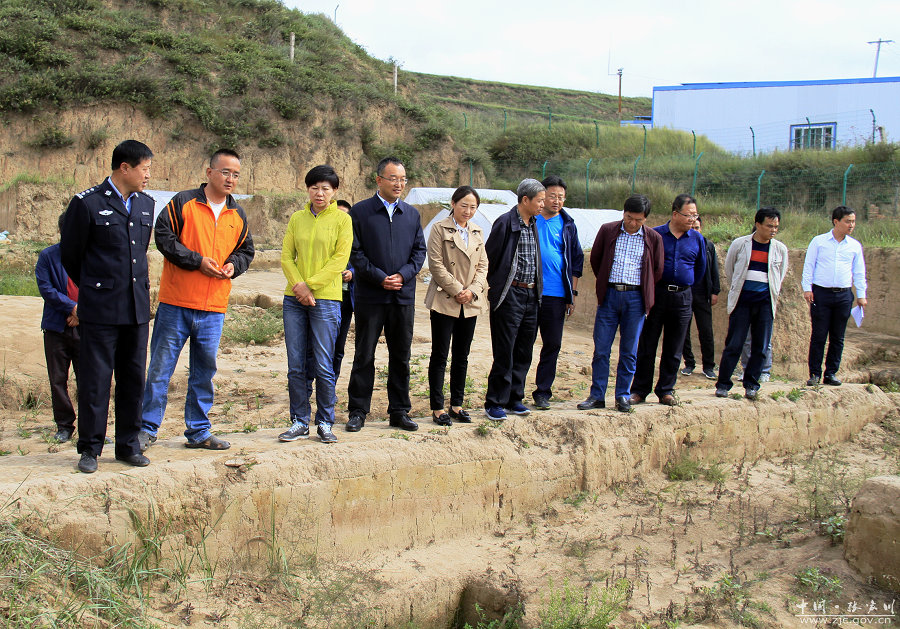 1505359167738812.jpg 1.JPG