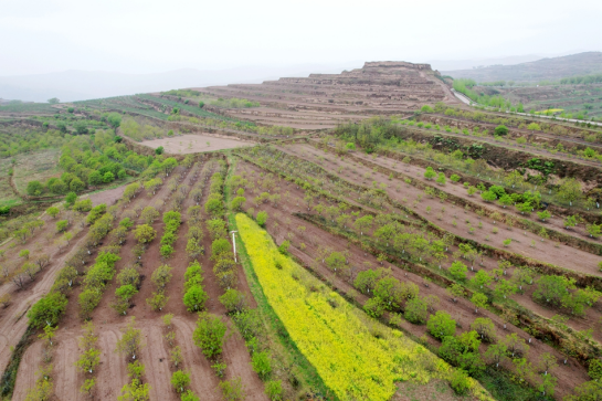 春播一颗子 秋收致富果401.png