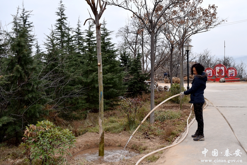 1513914893307462.jpg 4.jpg