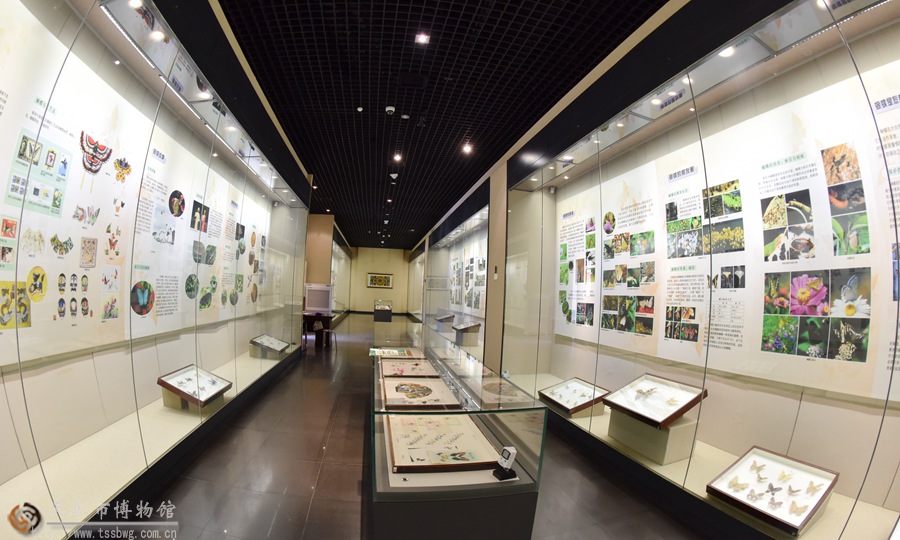 1500371756201560.jpg 1.jpg