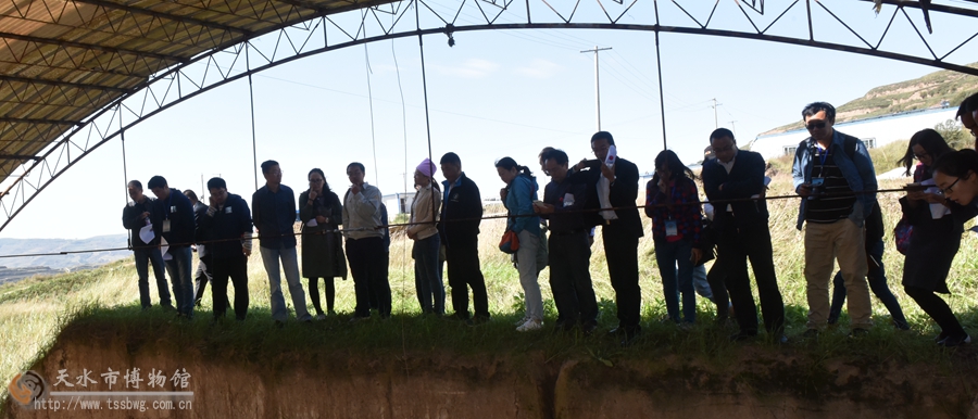 1506760064534885.jpg 3.jpg