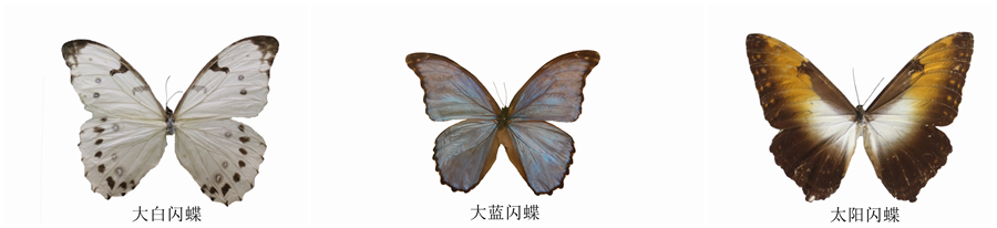 1500371966183659.png 11.png