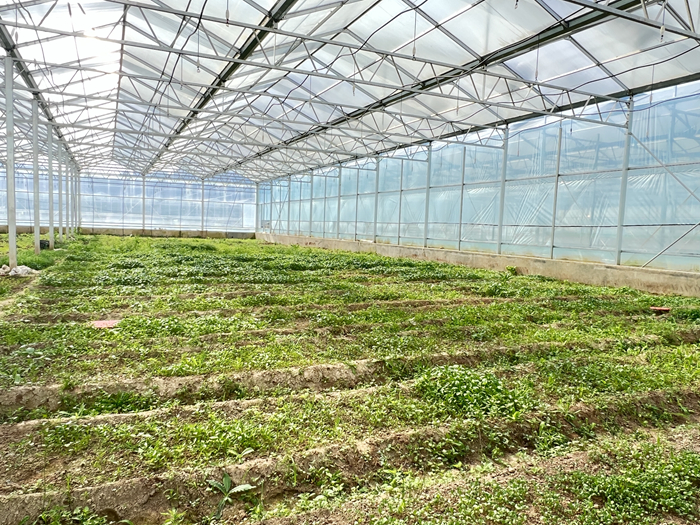 微信图片_20230515154635.jpg 微信图片_20230515154635.jpg