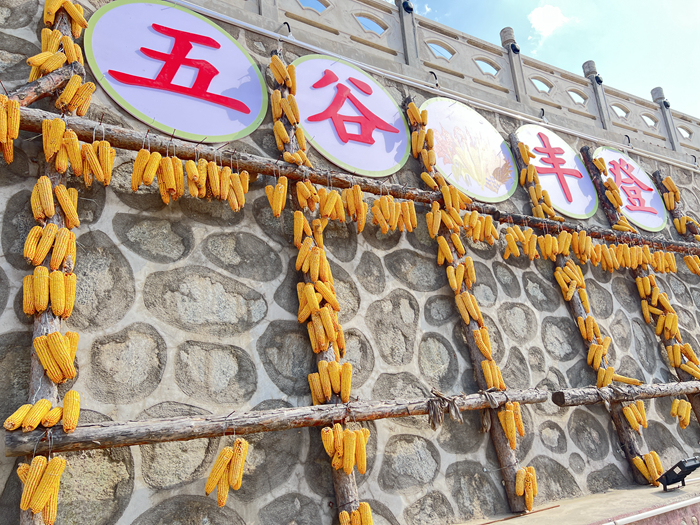 微信图片_20230515154646.jpg 微信图片_20230515154646.jpg