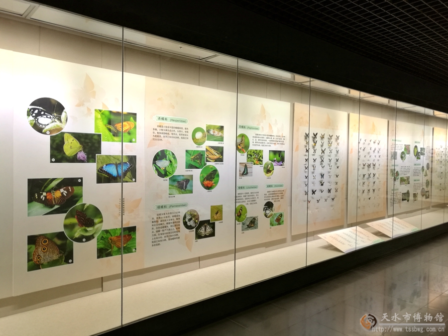 1500371913879483.jpg 5.jpg