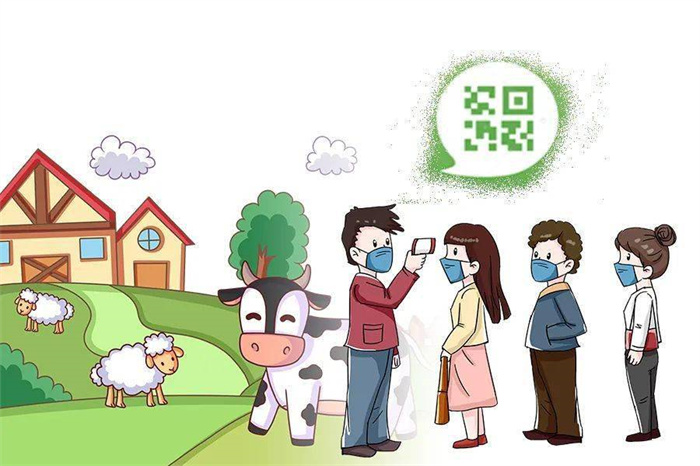 image5.jpeg image5.jpeg