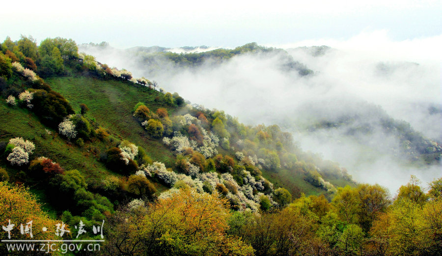 1503022728259911.jpg 3.jpg