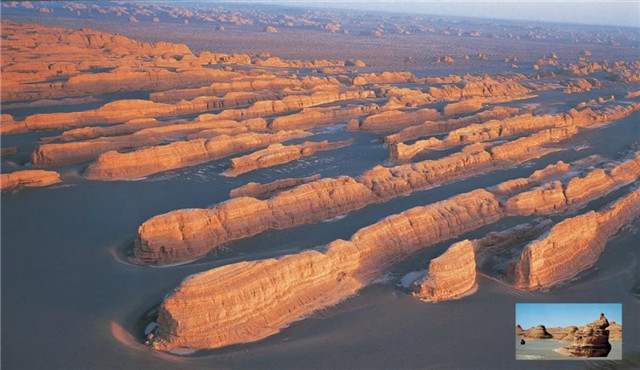 1547607893394902.jpg 7.jpg