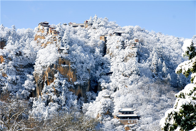 1547607864588760.jpg 2.jpg