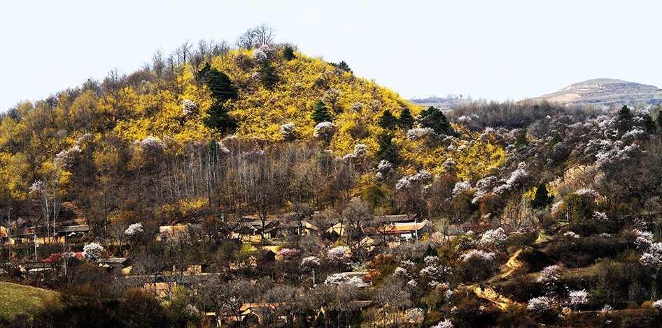 1522644274111555.jpg IMG448a5b4f79df47263606748.jpg