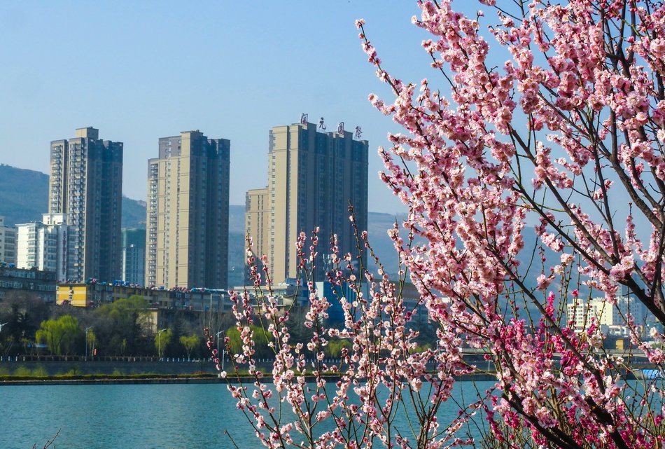 3a56074e3fa9452a83295995f16b8135.jpeg 3a56074e3fa9452a83295995f16b8135.jpeg