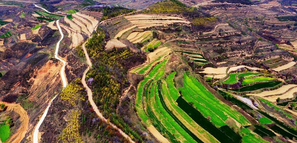 1522644325826167.jpg IMG448a5b4f79df47263618152.jpg