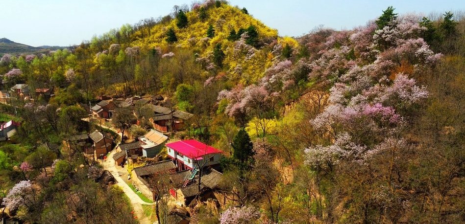 1522644375193040.jpg IMG448a5b4f79df47263626056.jpg