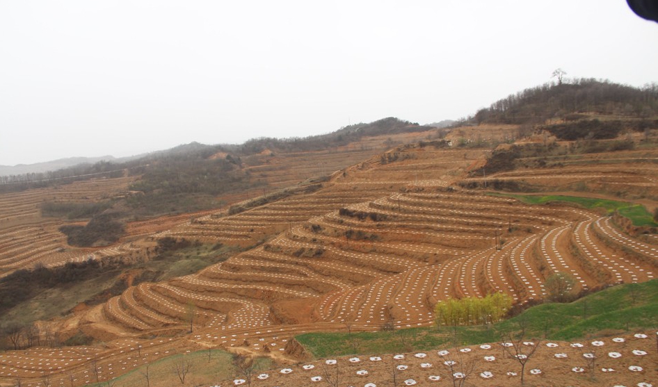 1522644351887960.jpg IMG448a5b4f79df47263619353.jpg