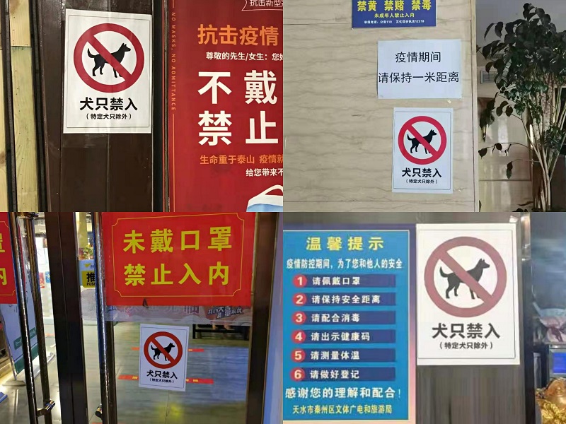 111111.jpg 111111.jpg