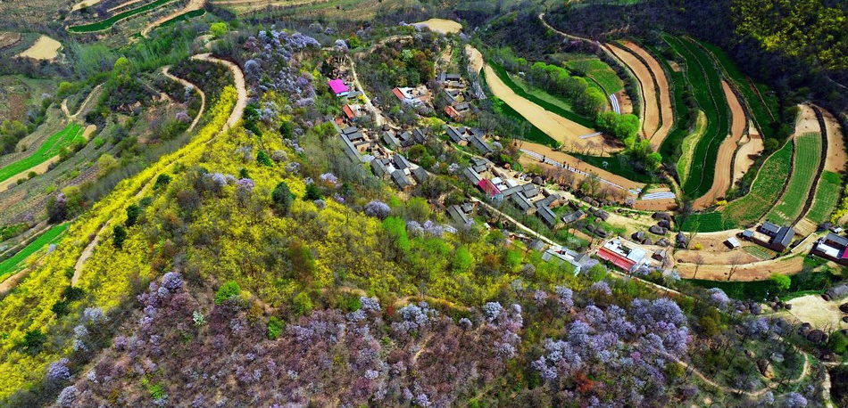 1522644315457987.png IMG448a5b4f79df47263616151.png